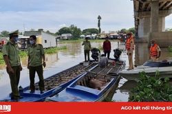An Giang: Tạm giữ hơn 2,8 tấn heo lậu từ Campuchia