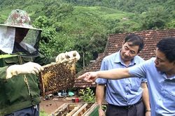 Nông dân Nậm Pồ thi đua sản xuất