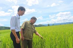 Người Tày, Nùng ơn Đảng