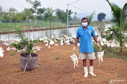 Nghệ An khoanh vùng ổ dịch cúm gia cầm A/H5N6 tại Yên Thành