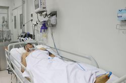 Công ty sản xuất pate Minh Chay sẽ phải bồi thường và đối diện mức phạt nào?