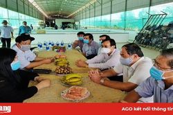 Nông dân giỏi ở huyện miền núi Tri Tôn