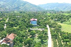 Tái cơ cấu ngành nông nghiệp gắn với xây dựng nông thôn mới