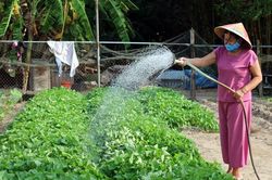 Giúp phụ nữ đơn thân dựa vào nhau
