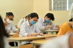 Đáp án đề thi môn Tiếng Anh kỳ thi tốt nghiệp THPT 2020 đợt 2 (24 mã đề)