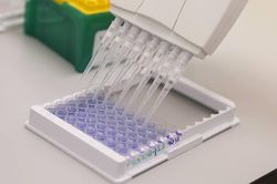 Thủ tướng Nga xác nhận tuyên bố của Tổng thống Putin về vaccine ngừa Covid-19
