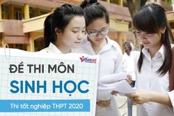Đề thi môn Sinh Học thi tốt nghiệp THPT 2020 đợt 2