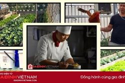 Đầu tư 30 triệu đồng nuôi gà, trồng rau trên sân thượng