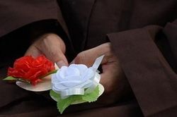 Bông hồng mùa Vu Lan