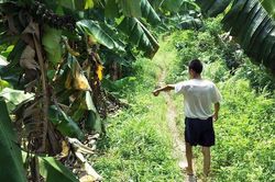 Đã bắt giữ nghi phạm hiếp dâm bé gái trong bụi chuối tại Hà Nội