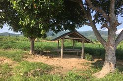 Đang nằm mật phục, 2 kiểm lâm viên bị kẻ lạ mặt tấn công
