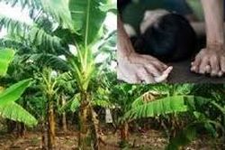 Bắt nghi phạm chặn xe bé gái đưa vào vườn chuối hiếp dâm