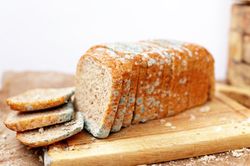 Nguy cơ ngộ độc từ thực phẩm nấm mốc