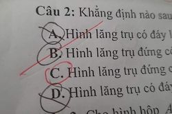Loạt học sinh 'thiếu nghị lực nhất năm'