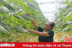 Thị trấn Thiệu Hóa phát triển mô hình nông nghiệp công nghệ cao
