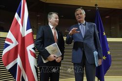 Anh khẳng định sẽ không trở thành 'quốc gia lệ thuộc' của EU
