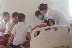 26 học sinh tiểu học nhập viện vì bị ong đốt