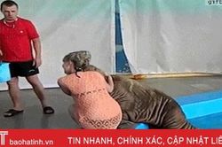 Hài hước với khoảnh khắc chị em bị động vật 'tấn công' bất ngờ