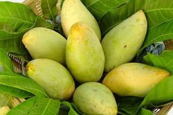 Tăng cường giám sát quản lý mã số vùng trồng và cơ sở đóng gói phục vụ xuất khẩu