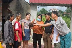 Chuyện ở lớp học đặc biệt