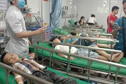 16 học sinh nhập viện vì bị ong đốt