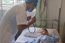 16 học sinh tiểu học bị ong đốt