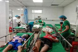 Ném tổ ong trên cây, 16 học sinh nhập viện