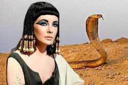 Bí ẩn về loài rắn của nữ hoàng Cleopatra