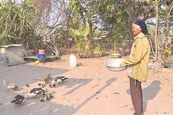 'Cánh chim đầu đàn' của làng Kinh Pêng