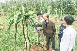 Đẩy mạnh phong trào nông dân thi đua sản xuất, kinh doanh giỏi