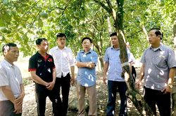 Khẩn trương đưa nghị quyết đại hội Đảng vào cuộc sống