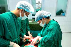 Phẫu thuật lấy thai thành công cho sản phụ có 2 tử cung