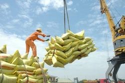 Bác bỏ thông tin gạo Việt Nam không đạt chất lượng