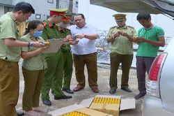Bắt giữ hơn 5.000 lọ thuốc bảo vệ thực vật không rõ nguồn gốc