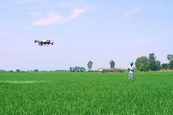 GS.TS Võ Tòng Xuân: Bỏ tư duy cũ trong sản xuất lúa gạo để vững chân tại EU