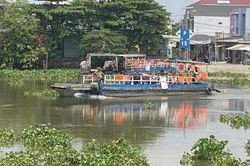 Cảnh báo cá sấu xuất hiện trên sông Sài Gòn