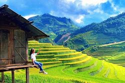 Thua lỗ trăm tỷ, giám đốc du lịch đi bán hoa quả, trà sữa