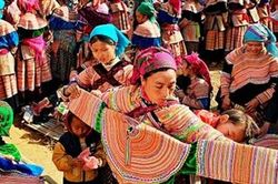 Xuống chợ