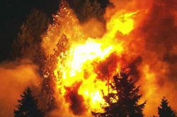 Mỹ: Bang Oregon ban bố tình trạng khẩn cấp do cháy rừng