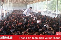Bài 1: Khắc ghi lời dạy của Bác
