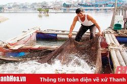 Đẩy mạnh liên kết nuôi trồng thủy sản
