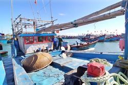 Tàu cá Bình Định bị nạn ở Trường Sa đã về đảo Lý Sơn an toàn