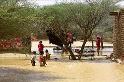 Sudan ban bố tình trạng kinh tế khẩn cấp