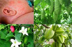 Trị rôm sảy cho bé bằng cách tắm các loại nước dưới đây
