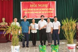 Đánh giá kết quả sản xuất lúa theo tiêu chuẩn VietGAP