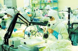 Tháng 8, giá trị xuất khẩu tăng nhẹ
