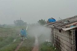Nghệ An nỗ lực dập dịch cúm gia cầm A/H5N6