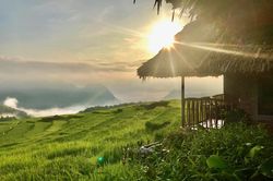 Đắm say mùa lúa Pù Luông