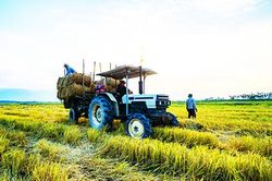 Phấn đấu đến cuối năm 2025, ít nhất 80% số xã đạt chuẩn nông thôn mới