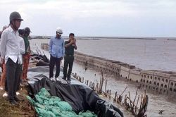 Dự án nâng cấp đê biển Tây ở Cà Mau: Lộ nhiều sai phạm